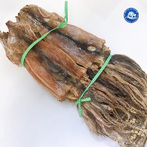 국산 배오징어 5마리 (370-400g내외)
