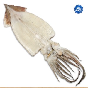 국내산 반건조 오징어 소10마리(1kg내외) 아이스박스