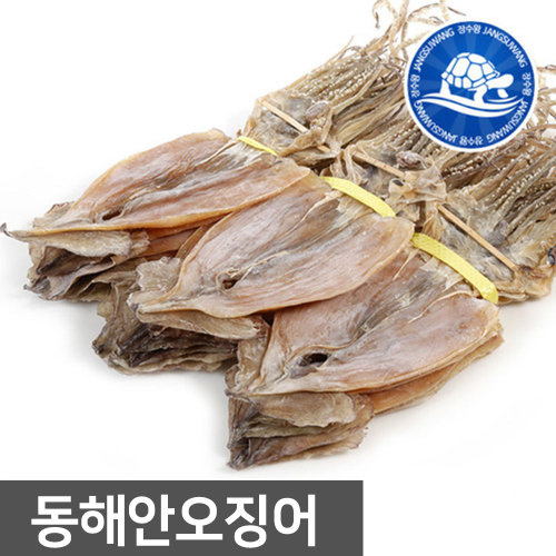 국산 동해안 건오징어 (1축 20마리) 2kg내외