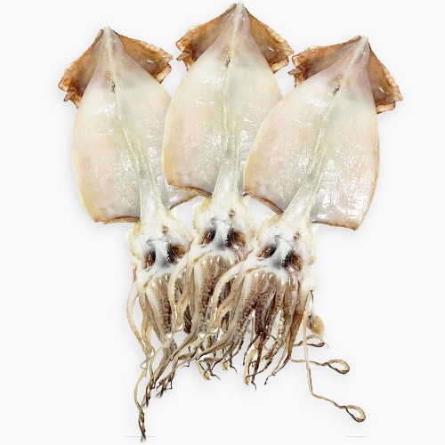 원양산 반건조 오징어 특대10마리(1.7kg내외) 아이스박스